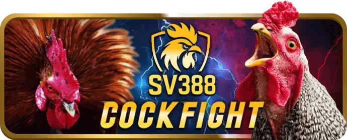 Bảo mật Open8808