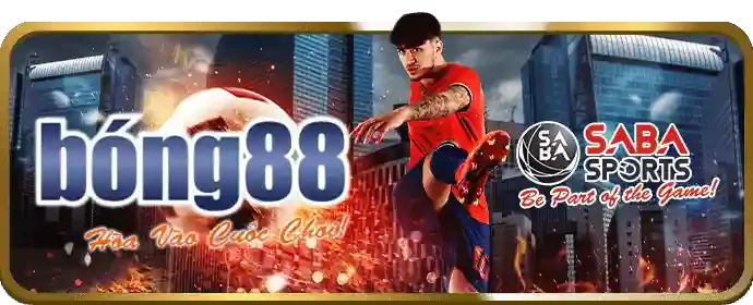 Uy tín và Minh bạch Open8808